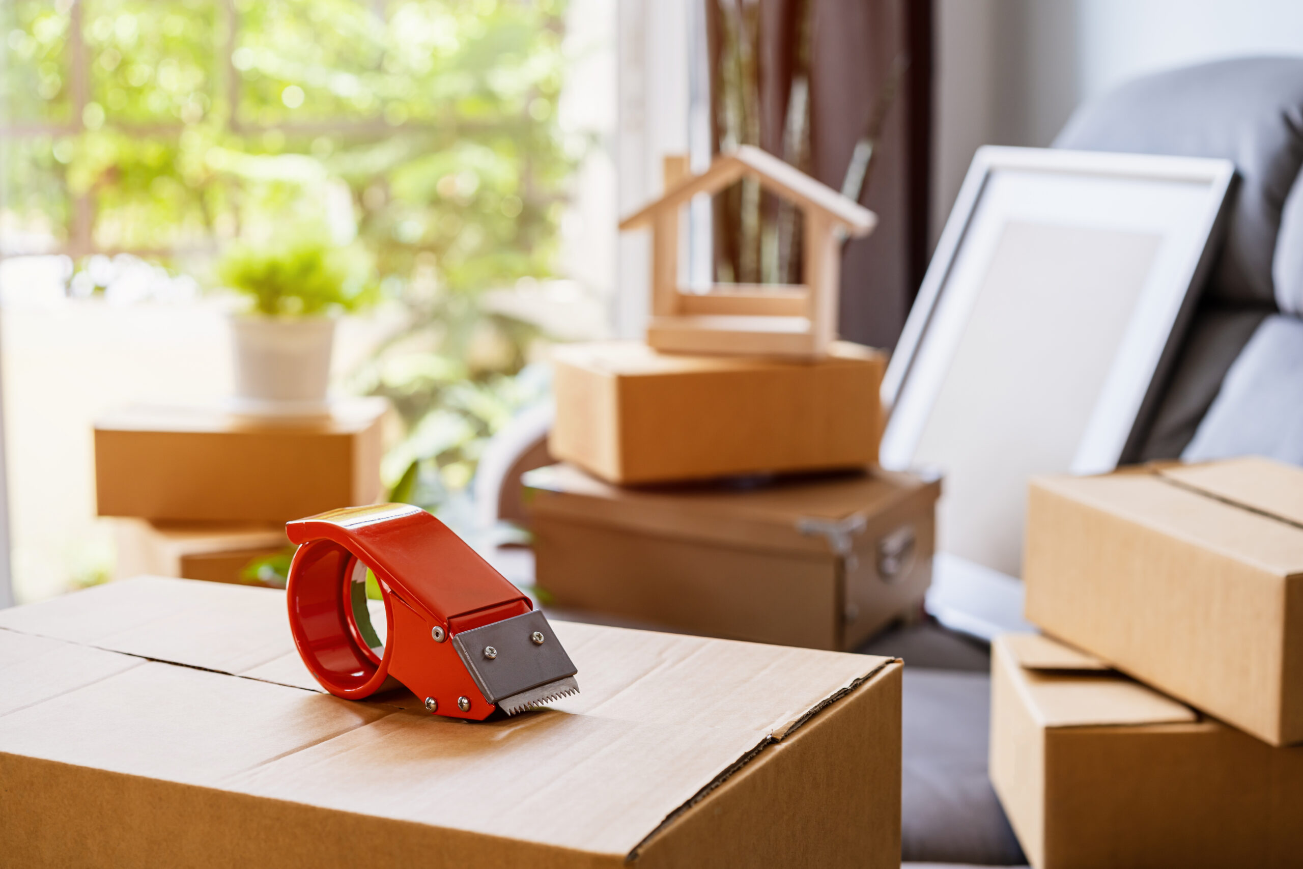 Read more about the article What to do while movers are moving